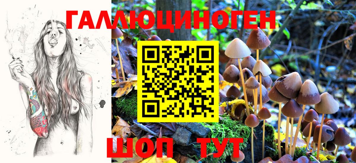 что такое наркотик  Галлюциногенные грибы прущие грибы  Вход с VPN  Псилоцибиновые грибы Psilocybine cubensis  Спасск-Дальний 